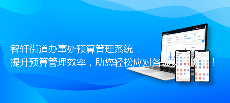街道办事处预算管理系统